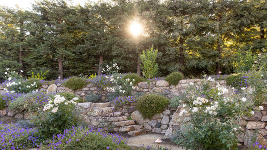 Scenic Garden Photo