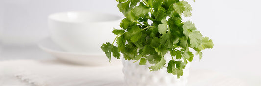 Power Duo: Together, Chlorella & Cilantro Aid Sleep, Metal Detox