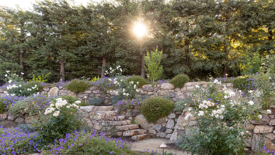 Scenic Garden Photo